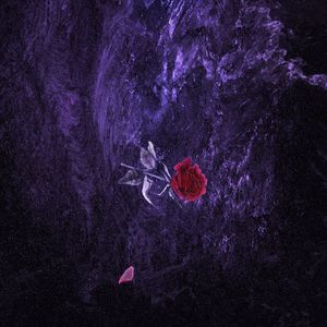 请戴上耳机准备好纸巾不正经
