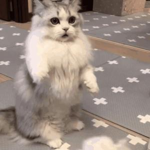 请戴上耳机准备好纸巾不正经
