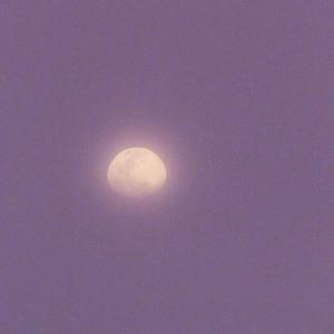 请戴上耳机准备好纸巾不正经
