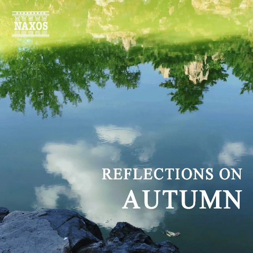 请戴上耳机准备好纸巾不正经
